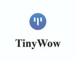 TinyWow banner